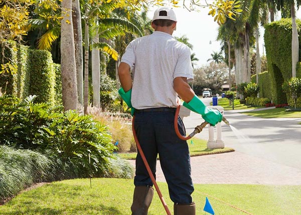 About Perkins GA Pest Control Pros